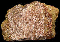 Bajocian chert from secondary source