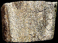 Typical Dogger chert