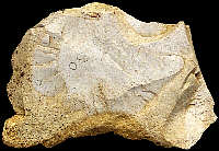 coarse flint with cortex