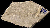 Flake of typical Bt2a flint