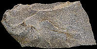 Bathonian chert
