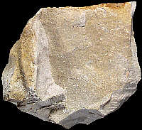 Flake with typical cortex