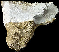 Chert with parent-rock