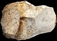 Opaque Jurassic chert