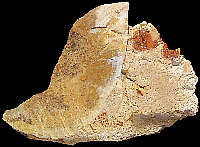 Low-grade Bathonian chert