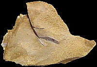 Internally faulted flint