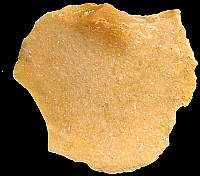 Flake with wackestone texture