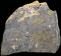 Flake of Late Bajocian flint