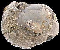 Split nodule of Km2 flint