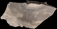 Flake of Upper Jurassic flint