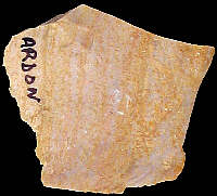 Flake of laminated flint