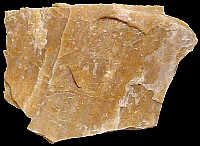 Lower Cretaceous cherty flint