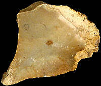 Flake of Late Cretaceous flint