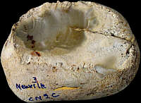Nodule with rolled cortex