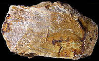 Residual Hauterivian flint