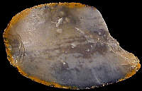 Flake with impregnation