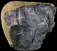Nodule of senonian flint with neo-cortex