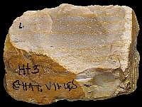 Hauterivian silex with neo-cortex