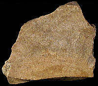 Coarse Cretaceous flint