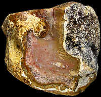 Tested nodule of flint