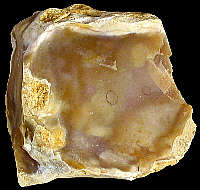 Upper Cretaceous flint with cortex