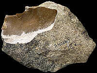 Tested nodule of Ur-type flint