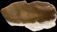 Flake of Urgonian flint with cortex