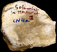 Flake of heavily weathered CN4a flint