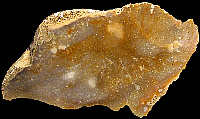 Example of CN1a flint
