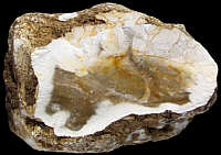 Freshly split nodule with thick, irregular cortex