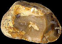 Small nodule of reworked Cretaceous flint