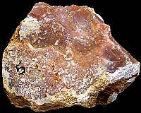 Worn nodule of Tertiary flint