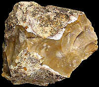 Typical nodule of Cn1a flint