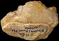 Slightly patinated flake