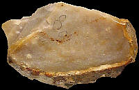 Slightly patinated piece of Late Cretaceous flint