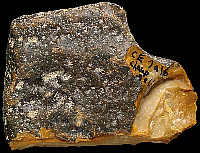 Piece of flint with black neo-cortex