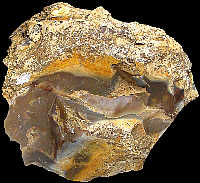 Rolled nodule of Cenozoic flint