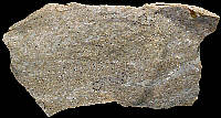 Coarse bajocian chert