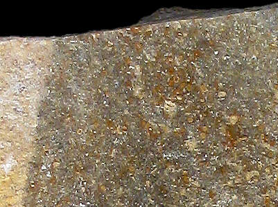 Detail of Bj4b packstone chert