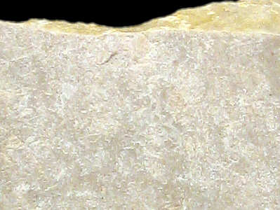 Detail of reticulated flint