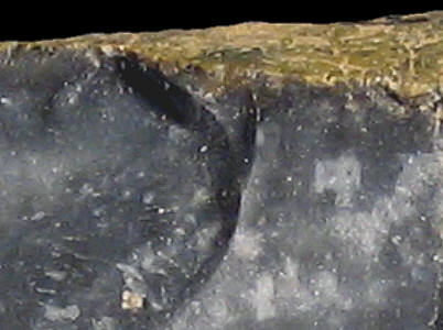 Flake of Campanian CE1b flint