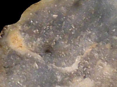 Detail of reworked CE4b flint