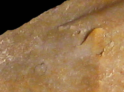 Close view of wackestone-flint