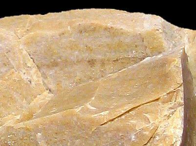 Detail of Hauterivian Ht2 flint