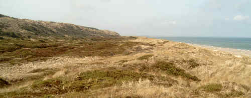 Littorina Sea coast at Svinkløv