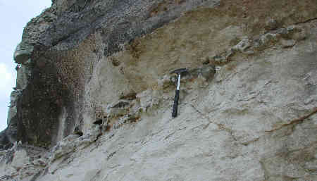 Bank of bryozoic flint