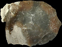 two-toned chert