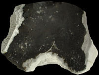 Black flint