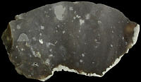 Grey speckled flint