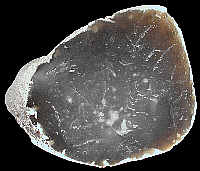 Nodular flint